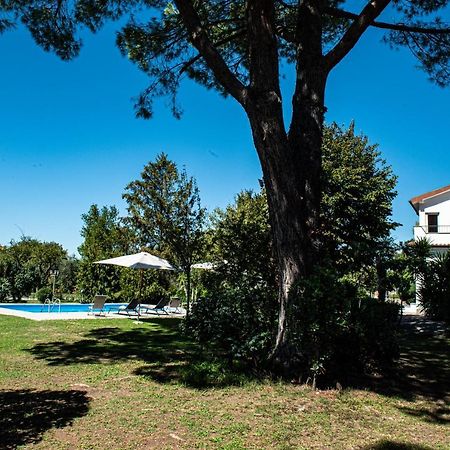 Terre Etrusche Guest House-Terme -3 Minuti Da Viterbo Centro Exteriör bild