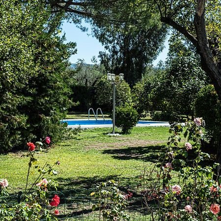 Terre Etrusche Guest House-Terme -3 Minuti Da Viterbo Centro Exteriör bild